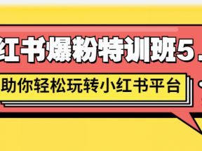 小红书爆粉特训班5.0，助你轻松玩转小红书平台价值1380元