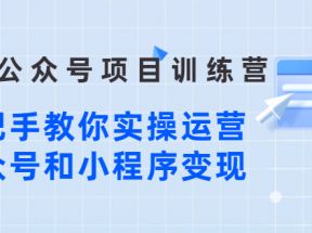 蓝海公众号项目训练营，手把手教你实操运营公众号和小程序变现