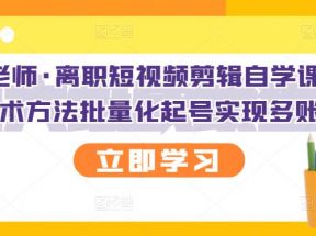 短视频剪辑自学课程，可复制技术方法批量化起号实现多账号收益