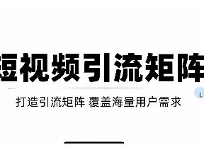 短视频引流矩阵打造，SEO+二剪裂变，效果超级好！【视频教程】