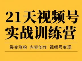 21天视频号实战训练营，裂变涨粉、内容创作、视频号变现（价值298元）