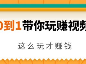 从0到1带你玩赚视频号：这么玩才赚钱，日引流500+日收入1000+核心玩法