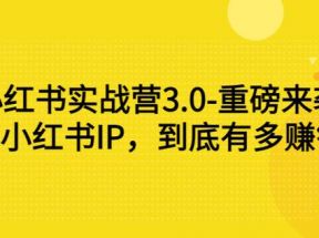 小红书实战营3.0-重磅来袭：做好小红书IP，到底有多赚钱？（价值7999元）