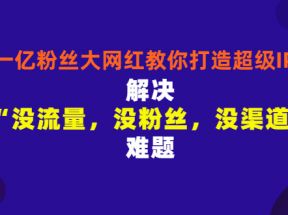 一亿粉丝大网红教你打造超级IP：解决“没流量，没粉丝，没渠道”难题