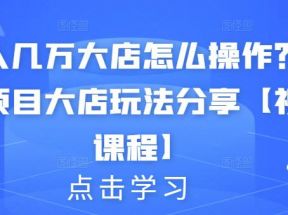 月入几万大店怎么操作？虚拟项目大店玩法分享