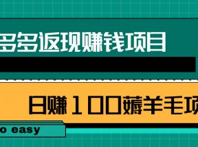 拼多多返现赚钱项目，简单操作轻松日赚100+薅羊毛项目【视频教程】