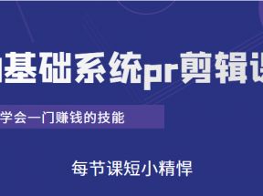 短视频0基础系统pr剪辑课：学会一门赚钱的技能，每节课短小精悍