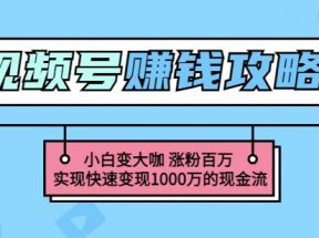 玩转微信视频号赚钱：小白变大咖涨粉百万实现快速变现1000万的现金流