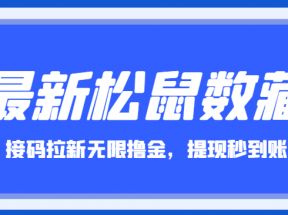 最新松鼠数藏接码拉新无限撸钱项目，提现秒到账【全套软件】