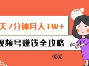 每天7分钟月入1W+，视频号赚钱全攻略，普通人也能操作 （58节视频课）