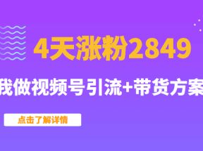 某公众号付费文章：4天涨粉2849，我做视频号引流+带货方案