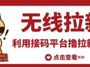 最新接码无限拉新项目，利用接码平台赚拉新平台差价，轻松日赚500+