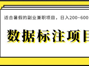 数据标注项目：适合暑假的副业兼职项目，日入200~600元