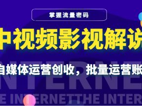 中视频影视解说—掌握流量密码，自媒体运营创收，批量运营账号