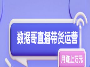 数据哥直播带货运营线上进阶课，让普通人也能靠直播月赚上万元