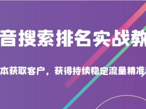 抖音搜索排名实战教程，低成本获取客户，获得持续稳定搜索流量精准转化