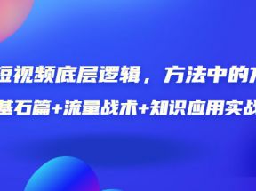 视频底层逻辑，方法中的方法，基石篇+流量战术+知识应用实战（价值389元）