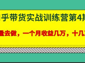 龟课知乎带货实战训练营第4期：批量去做，一个月收益几万 十几万(无水印)