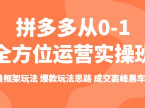 拼多多从0-1全方位运营实操班 流量框架玩法 爆款玩法思路 成交高峰黑车玩法