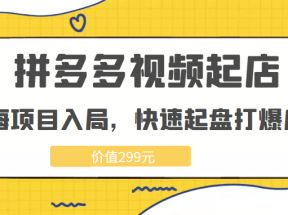 拼多多视频起店，实现蓝海项目入局，快速起盘打爆店铺（价值299元）