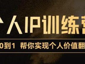 0到1打造短视频个人IP训练营，精准强吸粉+人设塑造+主页搭建+快速起号