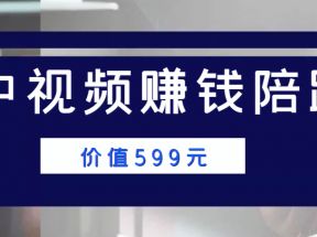 中视频赚钱陪跑，卖中视频账户赚钱收益陪跑项目（价值599元）