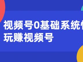 视频号0基础系统性玩赚视频号内容运营+引流+快速变现（20节课）