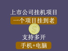 正规挂机项目，支持手机电脑一起挂，支持虚拟机多开，可以挂到老