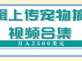 编辑上传宠物搞笑视频合集，就可以通过YouTube赚钱月入2500美元