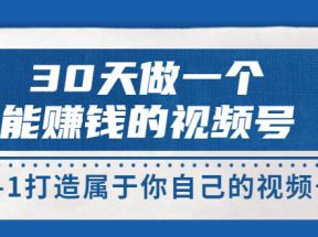 30天做一个能赚钱的视频号，从0-1打造属于你自己的视频号 (价值199元)