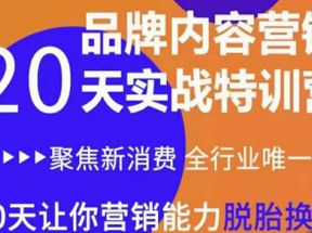 《内容营销实操特训营》20天让你营销能力脱胎换骨（价值3999）