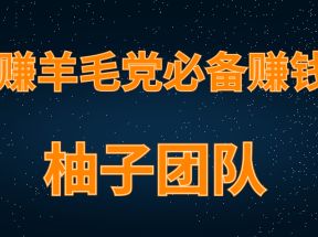 柚子团队内部项目课程：羊毛党必备兼职项目，哆啦赚轻松日入200+