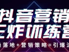 抖音营销王炸训练营，实操落地+营销策略=引爆流量（价值8960元）