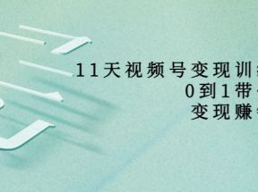 11天视频号变现训练营，从0到1打造变现赚钱系统（价值398元