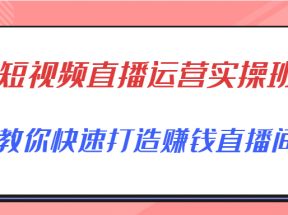 短视频直播运营实操班，直播带货精细化运营实操，教你快速打造赚钱直播间