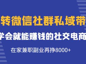 玩转微信社群私域带货，学会就能赚钱的社交电商，在家兼职副业再挣8000+