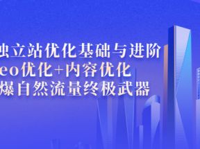 外贸独立站优化基础与进阶，seo优化+内容优化+引爆自然流量终极武器