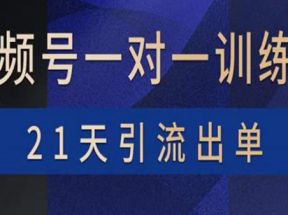 视频号训练营：带货，涨粉，直播，游戏，四大变现新方向，21天引流出单