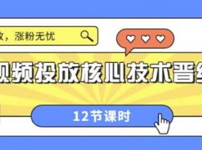 短视频投放核心技术晋级课：掌握投放，涨粉无忧（12节课时）