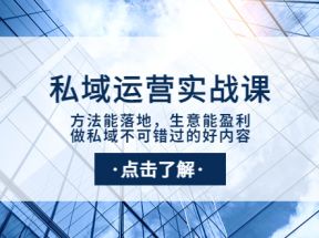 私域运营实战课：方法能落地，生意能盈利，做私域不可错过的好内容