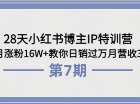 28天小红书博主IP特训营《第7期》4个月涨粉16W+教你日销过万月营收30万