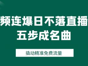 视频连爆日不落直播间五步成名曲，撬动精准免费流量（价值1980元）