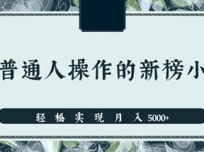 分享一个适合普通人操作的赚钱项目，新手也能轻松实现月入5000+