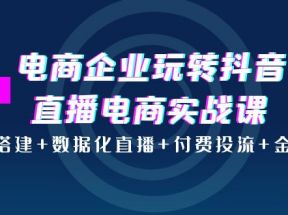 电商企业玩转抖音直播电商实战课：账号搭建+数据化直播+付费投流+金牌主播