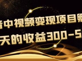 《抖音中视频变现项目孵化》单天的收益300-500 操作简单粗暴（无水印）