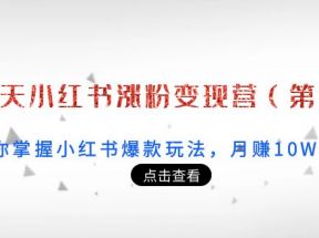 21天小红书涨粉变现营（第3期）：带你掌握小红书爆款玩法，月赚10W+秘密（无水印）