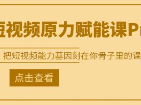 短视频原力赋能课Pro，把短视频能力基因刻在你骨子里的课【更新9月】