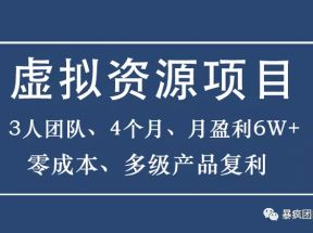 暴疯团队虚拟资源项目，3人团队，4个月，月盈利6W+，高客单价、多产品复利