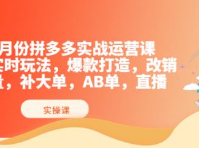 拼多多实战运营课，实时玩法，爆款打造，改销量，补大单，AB单，直播