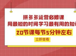 拼多多运营必修课：20节课每节5分钟左右，用最短的时间学习最有用的知识